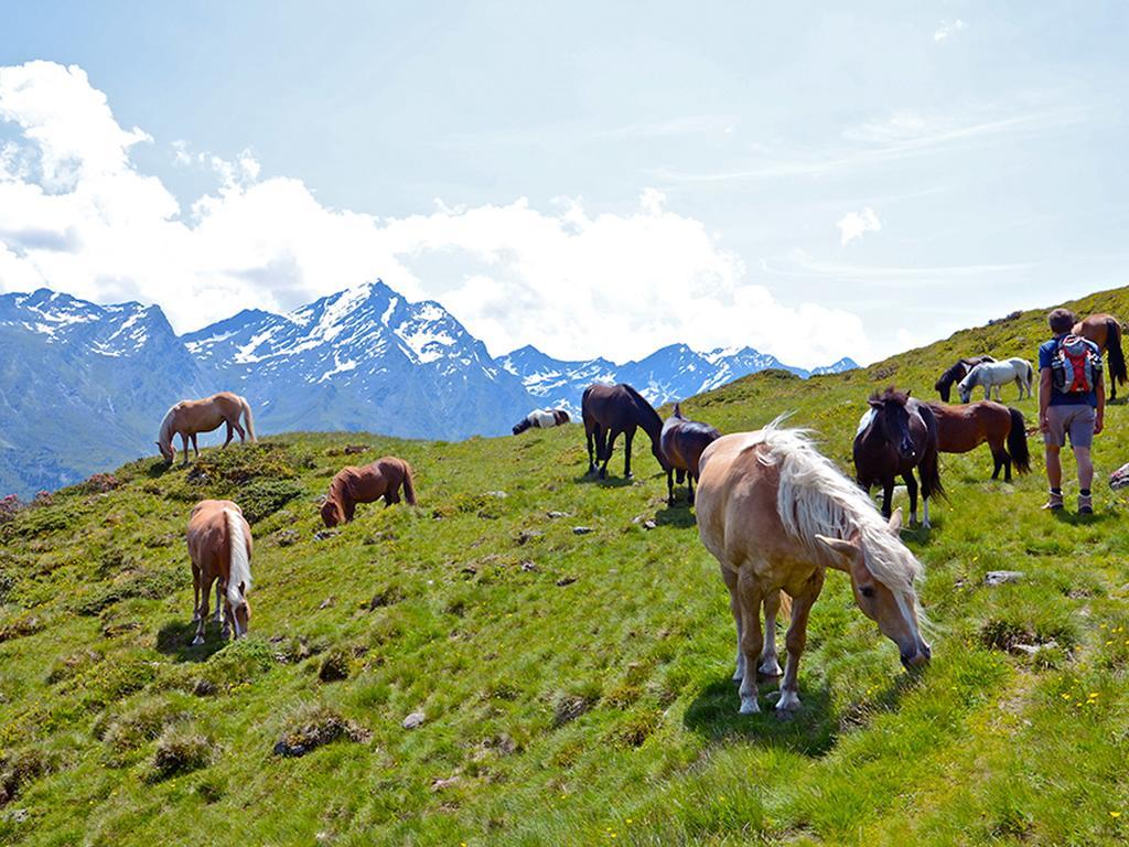 Alpengasthof Praxmar Sankt Sigmund im Sellrain Zewnętrze zdjęcie